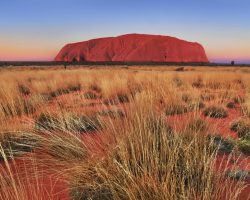 True Travel Australia