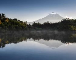 True Travel New Zealand