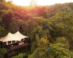 Four Seasons Tented Camp - Aerial