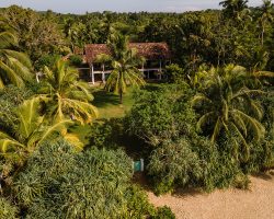 The Last House - Aerial