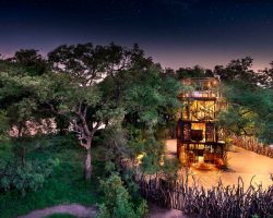 ngala-treehouse-exterior-stars